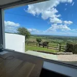 Glenogue Farm * Gorey