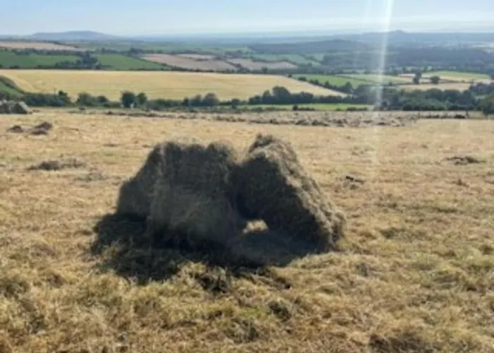 Villa Glenogue Farm Gorey