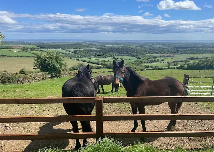 Villa Glenogue Farm Gorey
