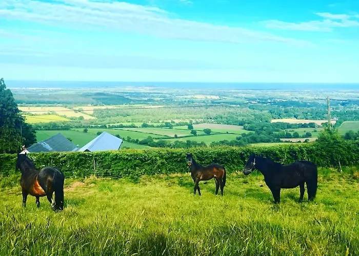 Glenogue Farm Villa Gorey